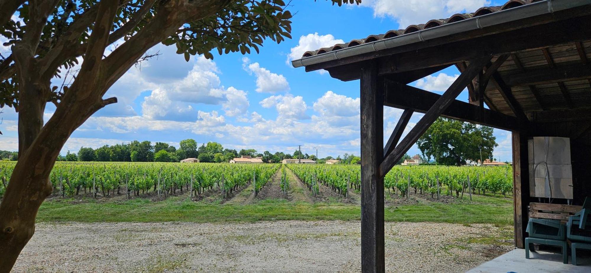 Gite Chateau Touzinat - Saint-Emilion Luaran gambar