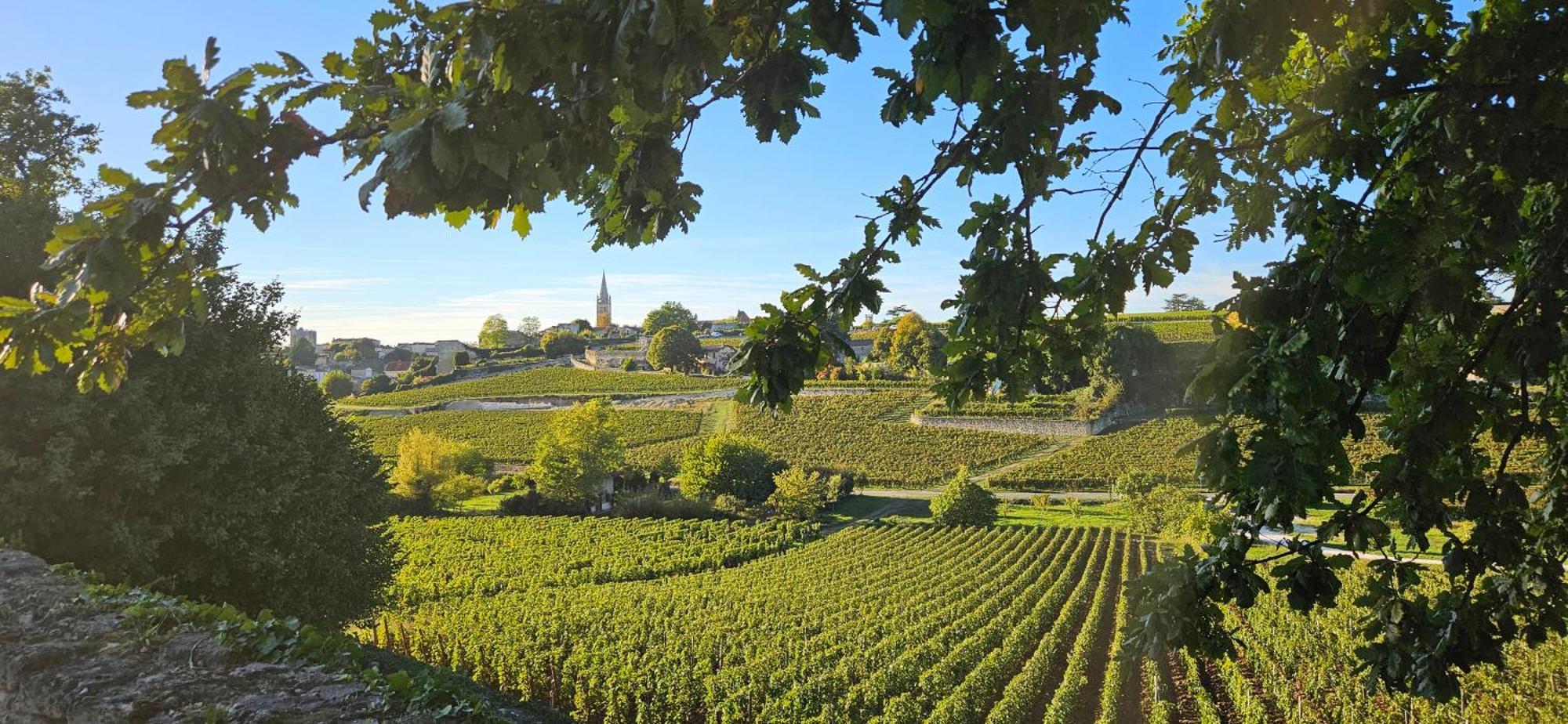 Gite Chateau Touzinat - Saint-Emilion Luaran gambar